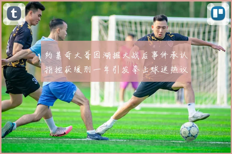 约基奇大哥因湖掘大战后事件承认指控获缓刑一年引发拳击球迷热议