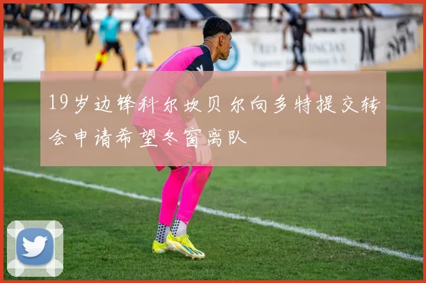 19岁边锋科尔坎贝尔向多特提交转会申请希望冬窗离队